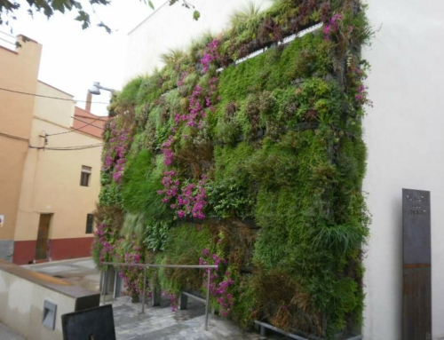 Pared vegetal Babylon ® en Vilabertran