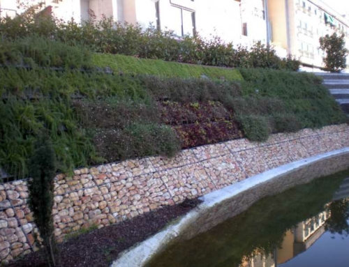 Pared vegetal en Ourense