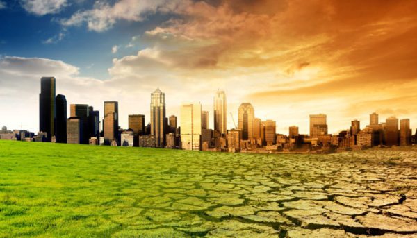 cambio-climatico-articulo