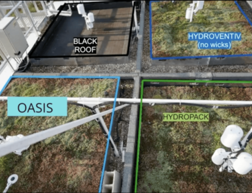 Experimento Cubiertas ecológicas vs. Cubiertas oscuras